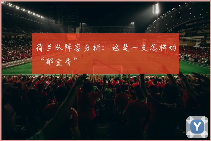 荷兰队阵容分析:这是一支怎样的“郁金香”