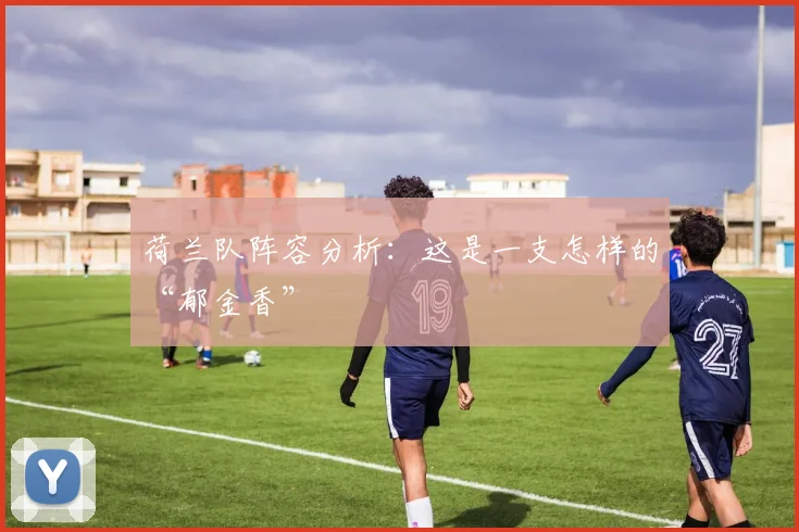 荷兰队阵容分析：这是一支怎样的“郁金香”